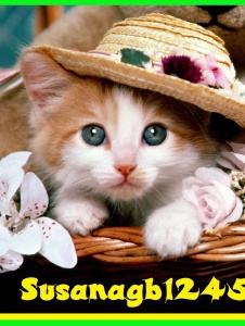Foto de Susanagb12459