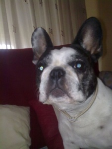 Foto de Lorenita80
