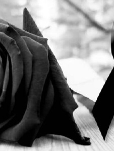 Foto de Rosal172