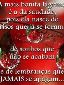 Foto de Wpa691