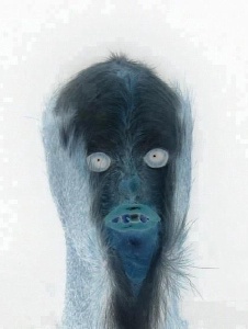 Foto de Xx0benxaminx0xx