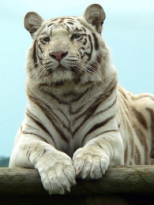 Foto de Luisvidalhidalg