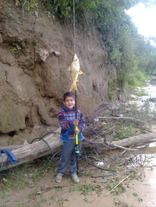 Foto de Dario767665