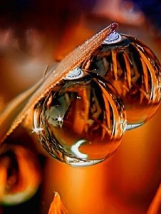 Foto de Michelled44750