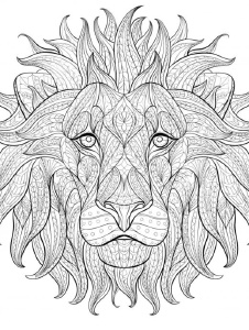 Foto de Laurishaypunto