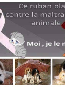 Foto de Corinnelef