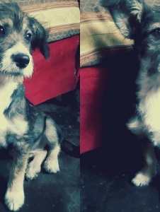 Foto de Katerine186