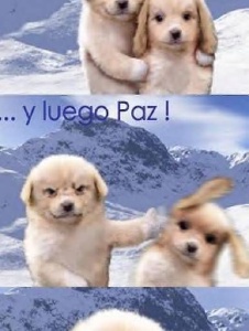 Foto de Sagitra11