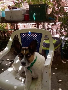 Foto de Unquilombo