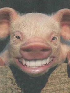 Foto de Miguelsuagar
