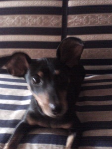 Foto de Lilibet324