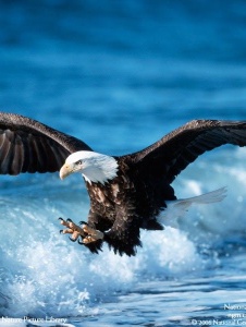 Foto de Luizcarlos0752