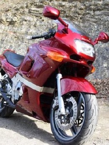 Foto von Shelby16100