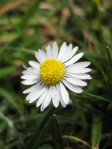 Foto de Xinfinitty