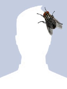 Foto de Caravan6
