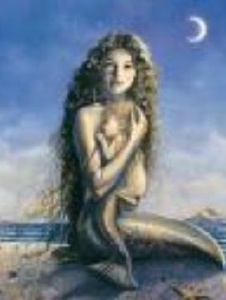 Foto di Ariel1999