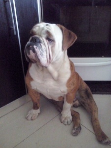 Foto de Nancy17203971