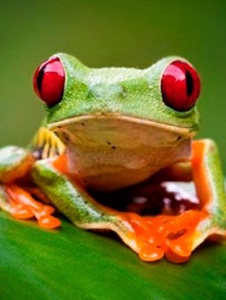 Foto de Ricardo2970