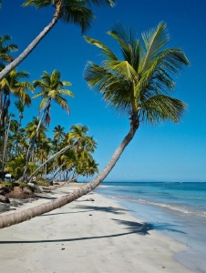 Foto de Sandybeach