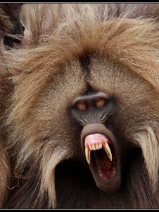 Photo de Onlyforyou11