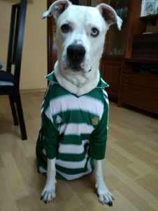 Foto de Migueldiego55