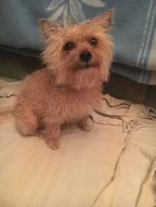Foto de Elpetete333