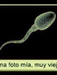 Foto de Manro51