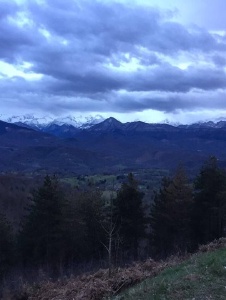 Foto von Crislioemy