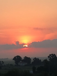 Foto de Brissa3